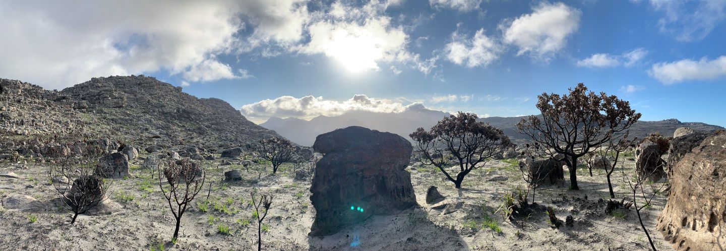 The sun behind a rock in a post-fire landscape on Kalk Bay Mountain, Cape Town — you are who you are, whether covered by vegetation or exposed by fire