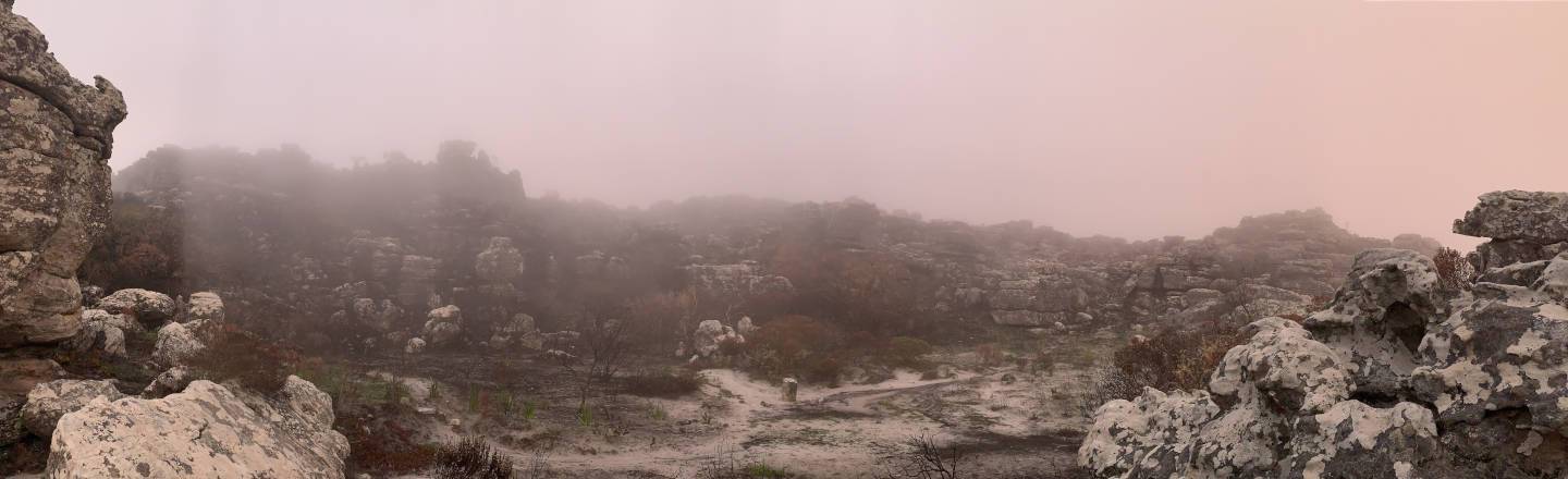 Basin of the Silvermine Amphitheatre under cloud after a fire — life sometimes feels like this burned and bare landscape