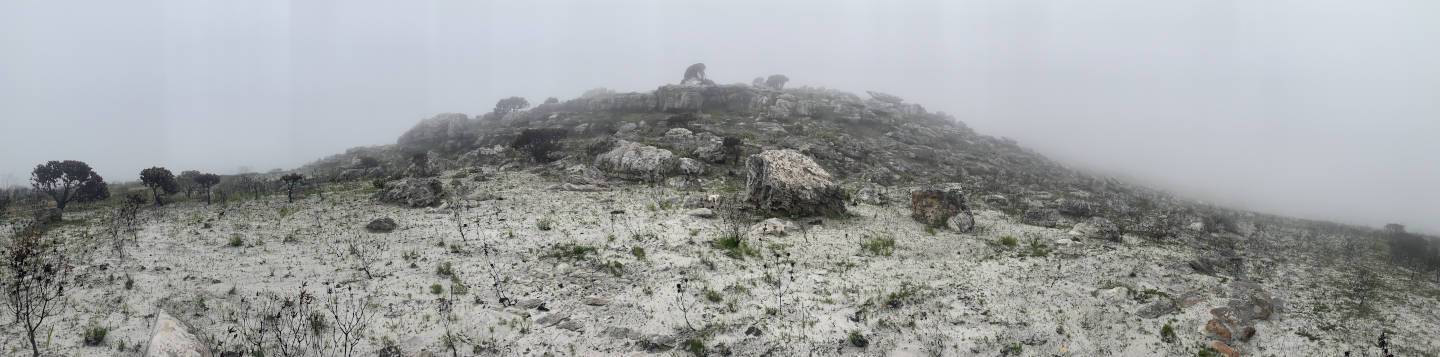 Misty post-fire hillside on Silvermine, Cape Town — the desolate fog evoking the world seen through sleep deprivation