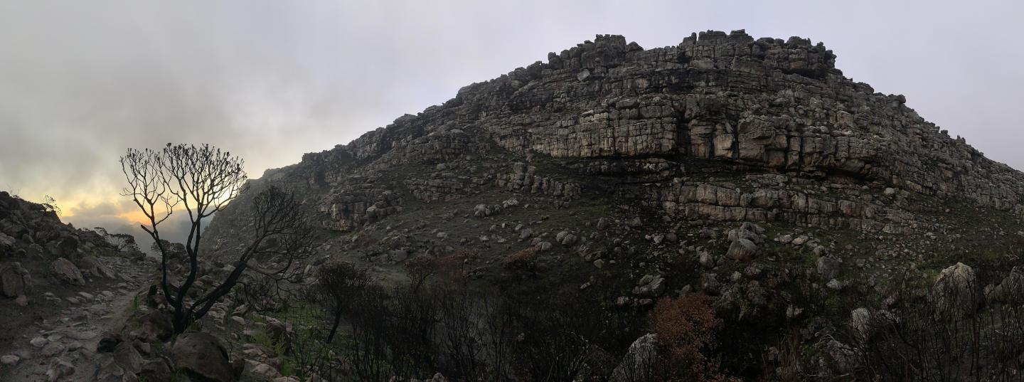 Blackened rocks and burned vegetation on Dooiemans Weg, Silvermine — why do we inhale smoke?