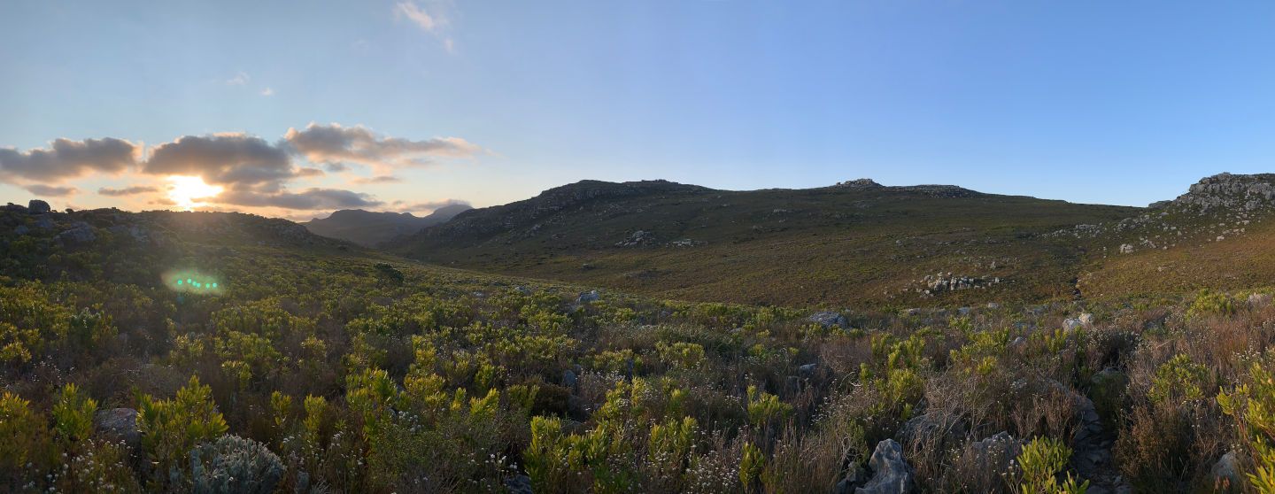 Silvermine fynbos under blue sky, Cape Town — fresh air, blue sky, healthy life