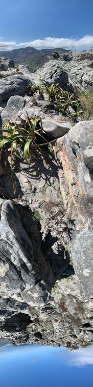 Vertical sweep panorama from sky to rocky fynbos terrain and back to sky, taken on Steenberg Peak near Cape Town — the threshold to the Soul Sanctuary