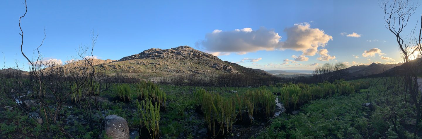 Sunset over the Silvermine valley, Cape Town — after the subconscious struggle, weight loss starts feeling more natural and easier